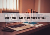 软件开发叫什么职位（软件开发是干嘛）