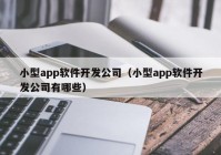 小型app软件开发公司（小型app软件开发公司有哪些）