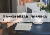 河南seo优化收益怎么样（河南做网站优化）