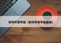 软件开发学徒（软件开发学徒骗局）