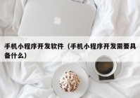 手机小程序开发软件（手机小程序开发需要具备什么）