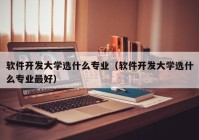 软件开发大学选什么专业（软件开发大学选什么专业最好）