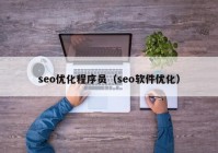 seo优化程序员（seo软件优化）