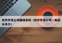 软件开发公司赚钱多吗（软件开发公司一般薪水多少）