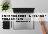 手机小程序开发需要具备什么（手机小程序开发需要具备什么条件）