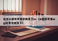 北京小程序开发华网天下vs（小程序开发wgj北京华网天下）