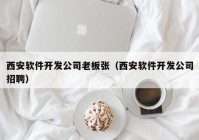 西安软件开发公司老板张（西安软件开发公司招聘）