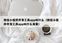 微信小程序开发工具app叫什么（微信小程序开发工具app叫什么来着）