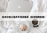 抚州分销小程序开发找哪家（抚州招聘销售）