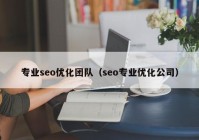 专业seo优化团队（seo专业优化公司）