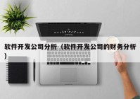 软件开发公司分析（软件开发公司的财务分析）