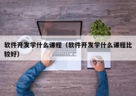 软件开发学什么课程（软件开发学什么课程比较好）