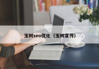 玉树seo优化（玉树宣传）