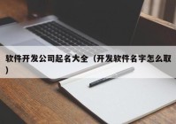 软件开发公司起名大全（开发软件名字怎么取）