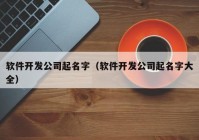 软件开发公司起名字（软件开发公司起名字大全）