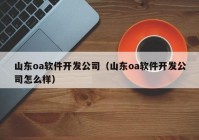 山东oa软件开发公司（山东oa软件开发公司怎么样）