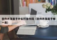 软件开发属于什么行业代码（软件开发属于哪一类）