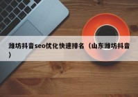 潍坊抖音seo优化快速排名（山东潍坊抖音）