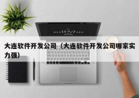 大连软件开发公司（大连软件开发公司哪家实力强）