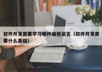 软件开发需要学习哪种编程语言（软件开发需要什么基础）