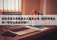 软件开发公司有多少人是大公司（软件开发公司一年可以挣多少钱?）