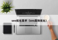 seo优化高手（seo高效优化）