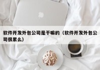 软件开发外包公司是干嘛的（软件开发外包公司很累么）