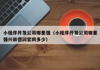 小程序开发公司哪里强（小程序开发公司哪里强兴田德润官网多少）