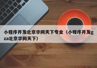 小程序开发北京华网天下专业（小程序开发gza北京华网天下）