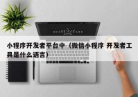 小程序开发者平台中（微信小程序 开发者工具是什么语言）