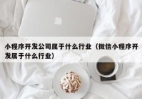 小程序开发公司属于什么行业（微信小程序开发属于什么行业）