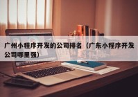 广州小程序开发的公司排名（广东小程序开发公司哪里强）