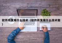 软件开发用什么技术（软件开发用什么技术做）