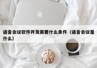 语音会议软件开发需要什么条件（语音会议是什么）