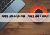 网站建设软件定制开发（网站定制开发哪家好）