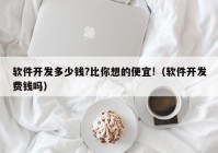 软件开发多少钱?比你想的便宜!（软件开发费钱吗）