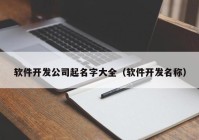 软件开发公司起名字大全（软件开发名称）