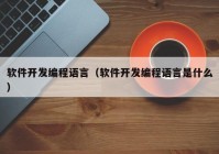 软件开发编程语言（软件开发编程语言是什么）