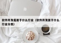 软件开发是属于什么行业（软件开发属于什么行业分类）