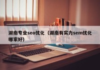 湖南专业seo优化（湖南有实力sem优化哪家好）