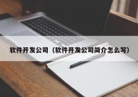 软件开发公司（软件开发公司简介怎么写）