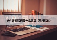 软件开发联调是什么意思（软件联试）