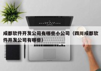 成都软件开发公司有哪些小公司（四川成都软件开发公司有哪些）